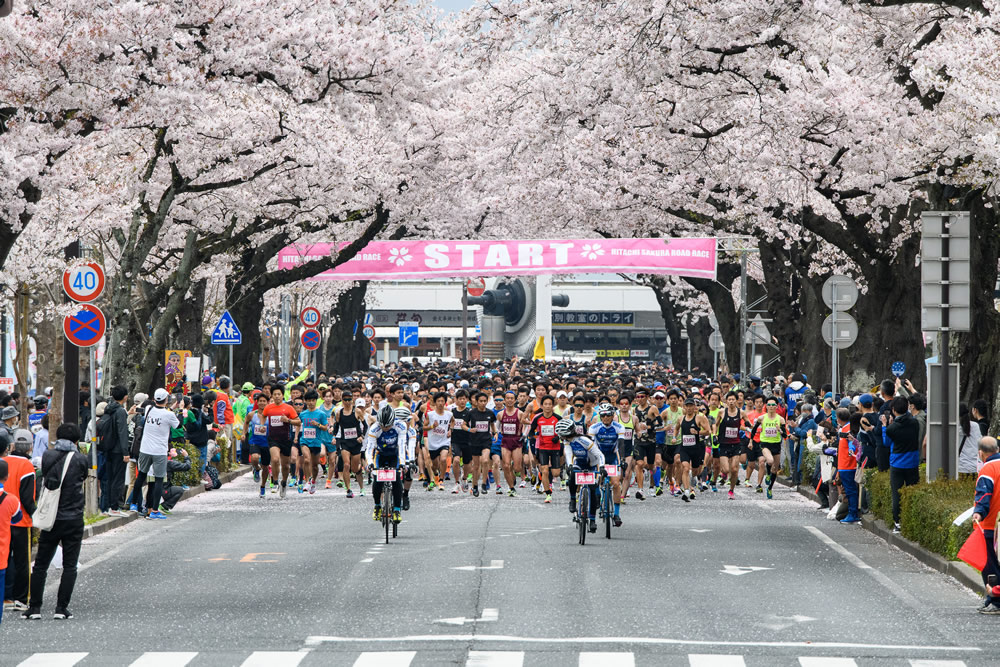 写真で振り返る「日立さくらまつり」（第58回日立さくらまつり）46