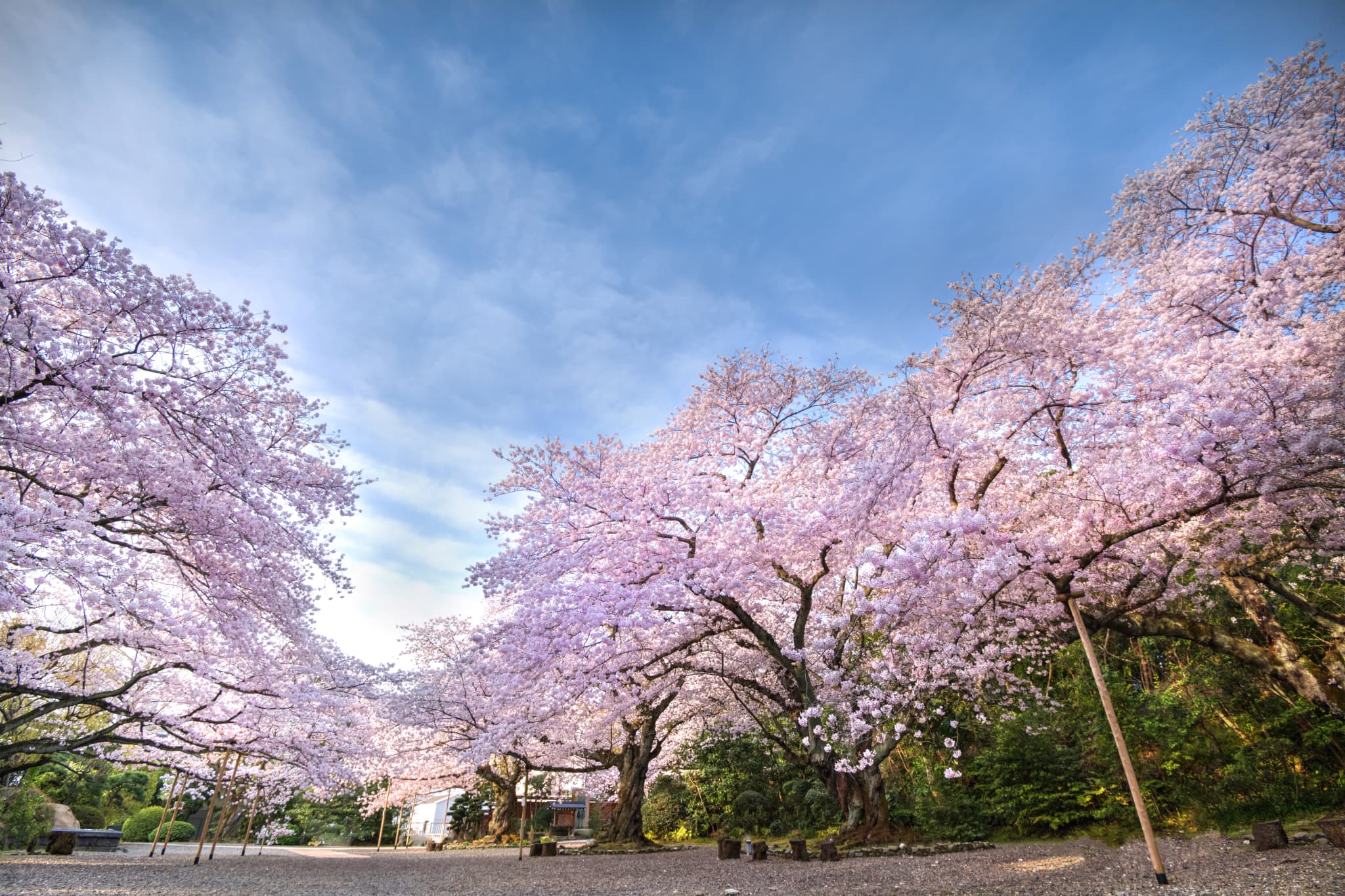 熊野神社