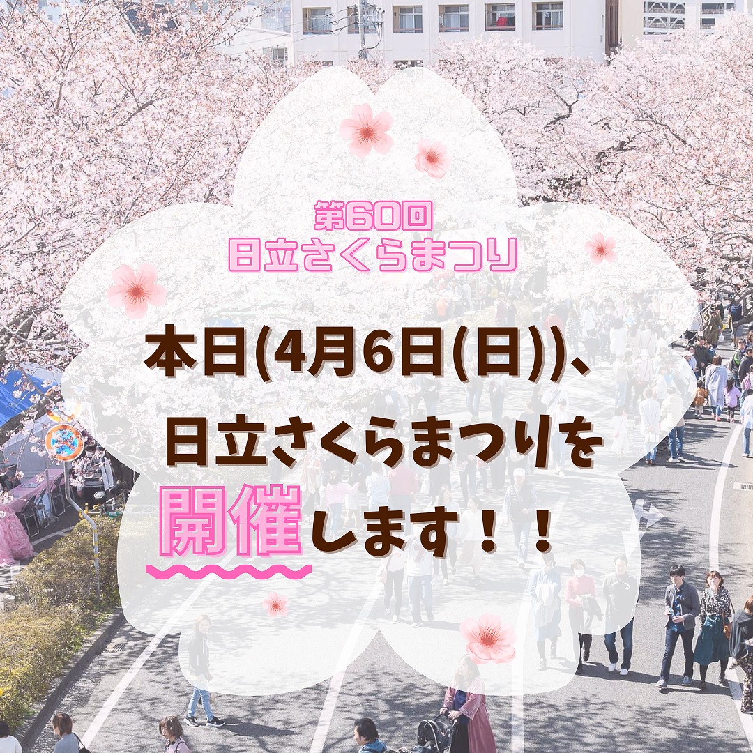 《更新しました》本日(4/6(日曜日))の日立さくらまつりは予定通り開催します！の情報