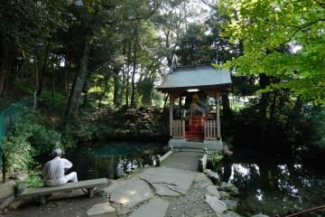 泉が森・イトヨの里泉が森公園の紹介1