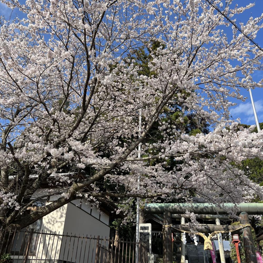 艫神社の紹介1