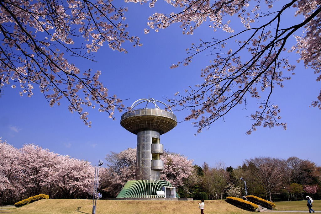 十王パノラマ公園の紹介